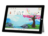 洱源Surface 无法开启、Windows 无法启动或电池无法充电